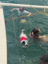 Under Sail: Taal Caldera & Shore Stories