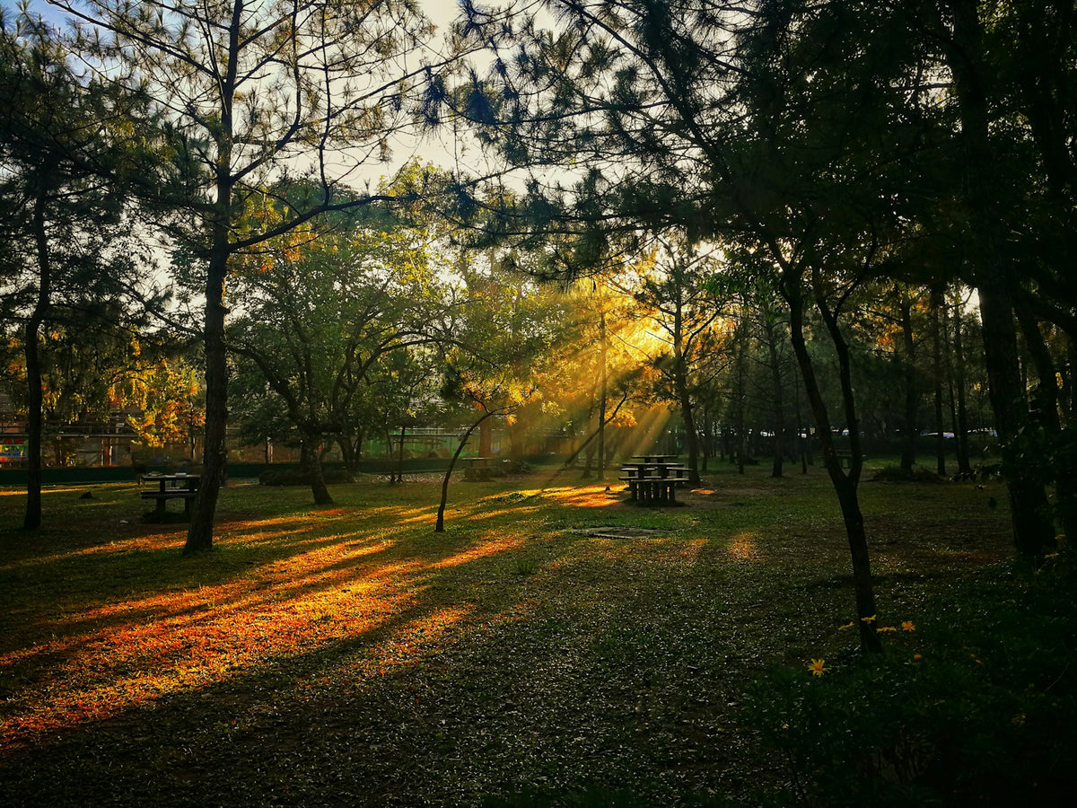 A Haven for Whom?