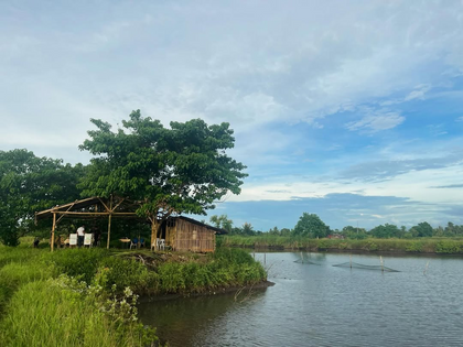 Rural landscape and fishpond in Negros. Photo: @gamboareena / Instagram.
