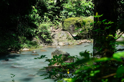 River and green forest at Subic Bay, Philippines. Photo: KJ Gonzales / Unsplash.