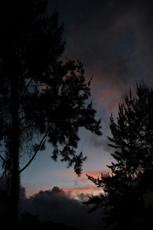 Pine trees silhouetted at dusk in Baguio, Philippines. Photo: Jaye Hernandez / Unsplash. Illustrative mood, not an exact tour stop.