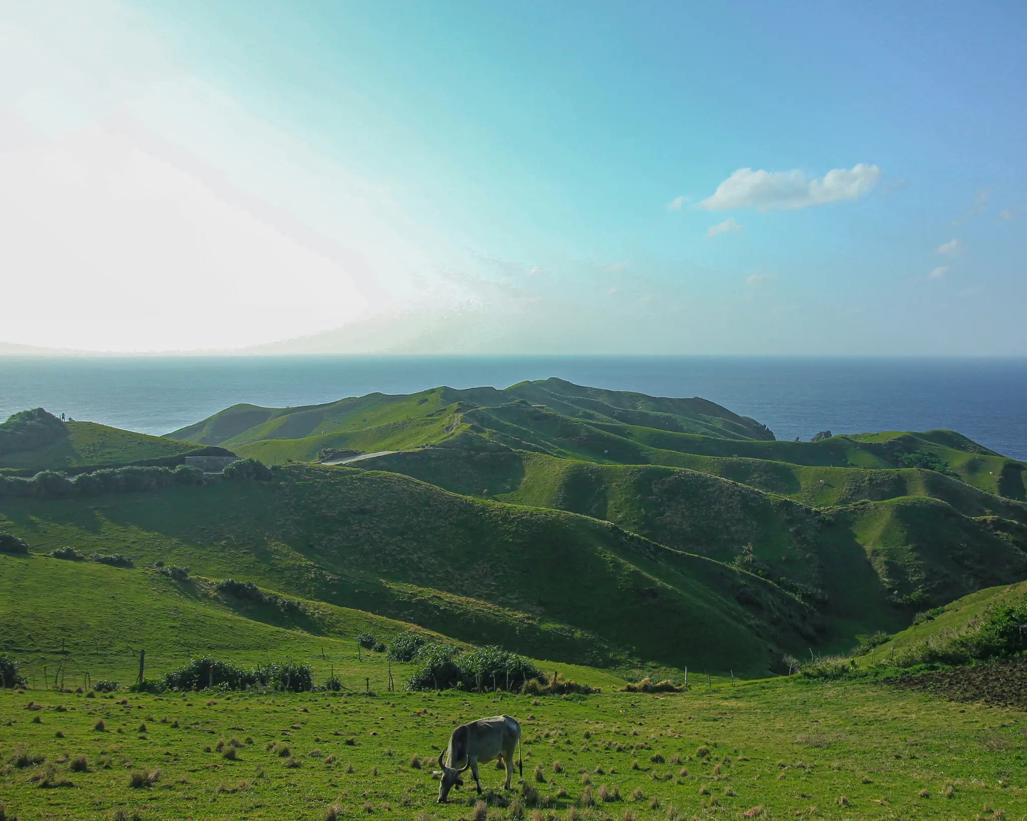Green rolling hills descending toward the sea in Batanes