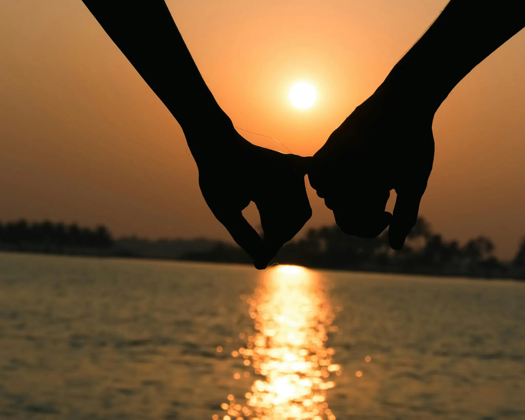 Two people holding hands against a sunset over the water