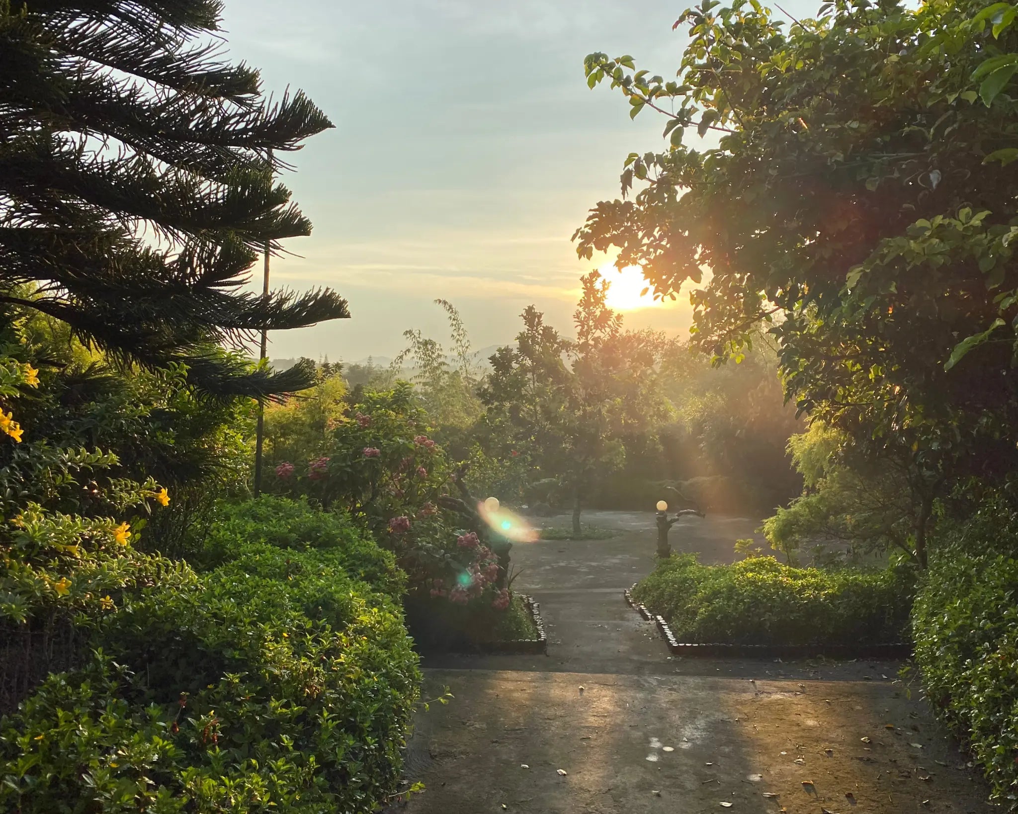 Sunrise over the garden at the former With Meraki Forest Farm in Tagaytay